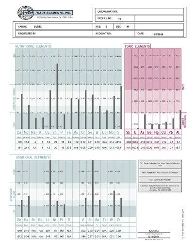  Sample Report 