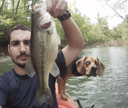 dog likes fish