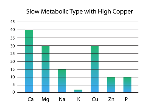 Diagram: Slow Metabolic Type with High Copper