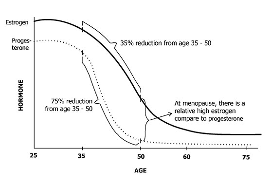 Graph: estrogen and progesterone levels