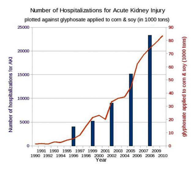 GMO Kidney Failure Realtionship - graph