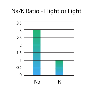 Diagram: Na/K Ratio Fight of Flight