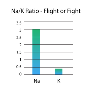 Diagram: Na/K Ratio Fight of Flight