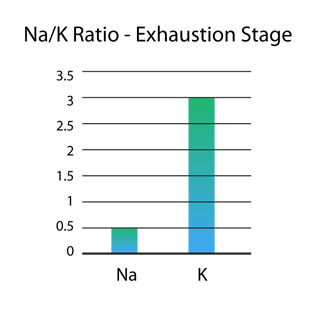 Diagram: Na/ Ratio Exhaustion Stage