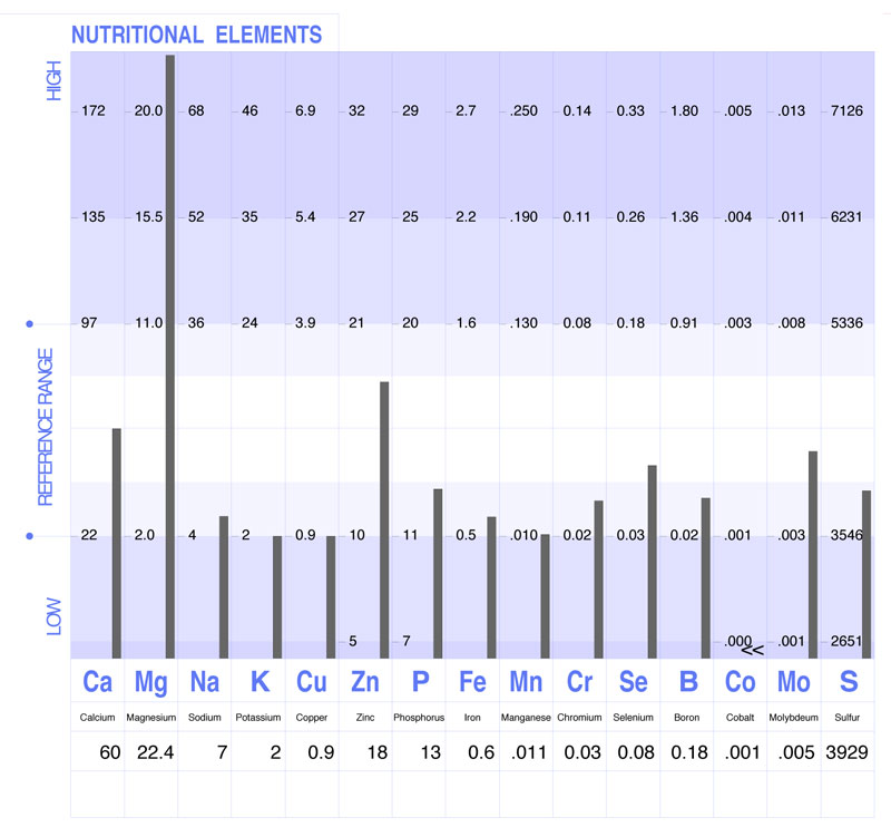 nutritional elements